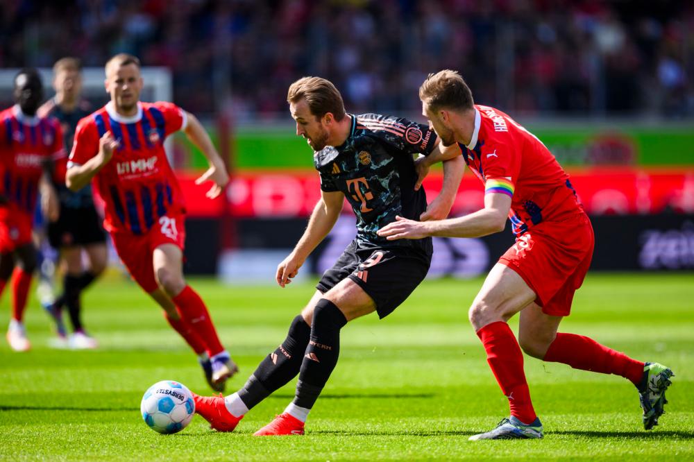 议着塞鸟和 议着塞鸟和